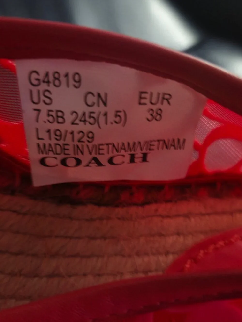 Coach Strawberry Espadrilles Shoes